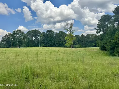 00001 Old Red Star Dr, Wesson, MS 39191