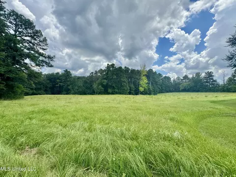 00001 Old Red Star Dr, Wesson, MS 39191 photo 12