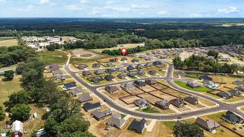 555 Emma Cv, Nesbit, MS 38651 photo 29