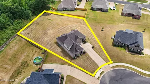 555 Emma Cv, Nesbit, MS 38651 photo 25