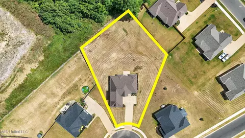 555 Emma Cv, Nesbit, MS 38651 photo 28