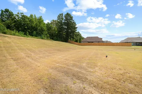 555 Emma Cv, Nesbit, MS 38651 photo 23