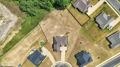555 Emma Cv, Nesbit, MS 38651 photo 27