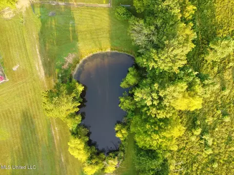162 Sharon Rd, Canton, MS 39046 photo 68