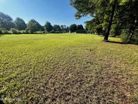 93 Ac Albert Davis Rd, Lucedale, MS 39452 photo 2