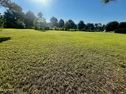 93 Ac Albert Davis Rd, Lucedale, MS 39452 photo 3