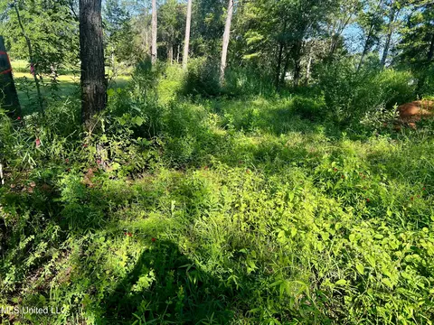 93 Ac Albert Davis Rd, Lucedale, MS 39452 photo 6