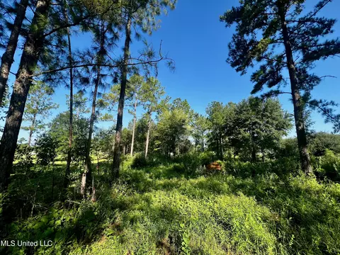 93 Ac Albert Davis Rd, Lucedale, MS 39452 photo 5