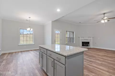 Other - 894 Collie Dr, Hernando, MS 38632 photo 2 of 4