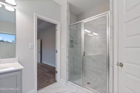 Bath - 894 Collie Dr, Hernando, MS 38632 photo 3 of 4