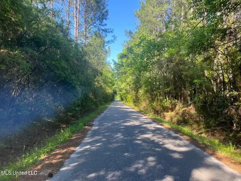 Martin Young Road, Moss Point, MS 39562 photo 5