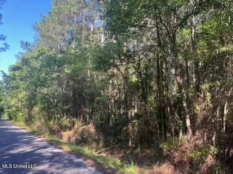 Martin Young Road, Moss Point, MS 39562 photo 2