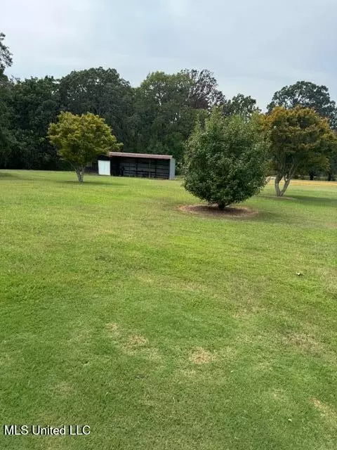 3629 S Slayden Rd, Lamar, MS 38642 photo 3