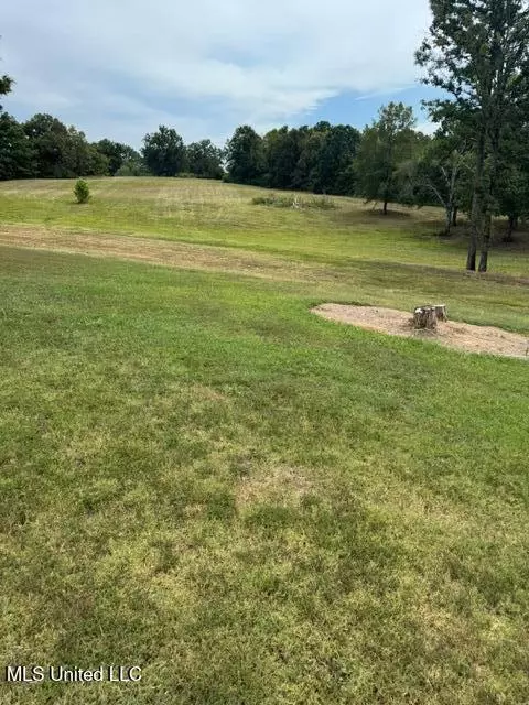 3629 S Slayden Rd, Lamar, MS 38642 photo 8