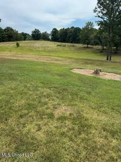 3629 S Slayden Rd, Lamar, MS 38642 photo 7