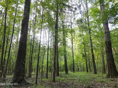 2435 Ms-43, Canton, MS 39046