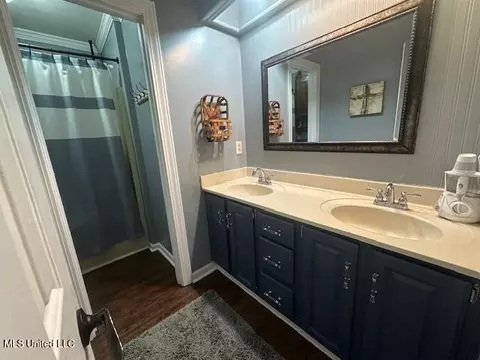 Bath - 60 Chestnut Dr, Madison, MS 39110 photo 4 of 5