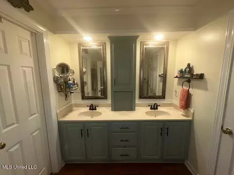 Bath - 60 Chestnut Dr, Madison, MS 39110 photo 1 of 5