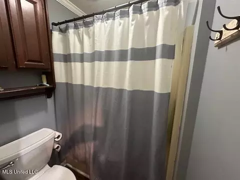 Bath - 60 Chestnut Dr, Madison, MS 39110 photo 5 of 5