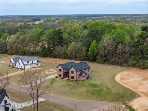 View/Area - 1474 Tributary Dr, Hernando, MS 38632 photo 13 of 14