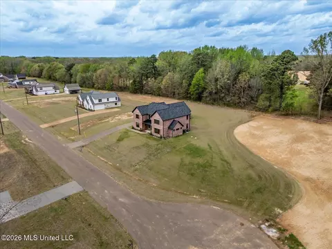 View/Area - 1474 Tributary Dr, Hernando, MS 38632 photo 14 of 14
