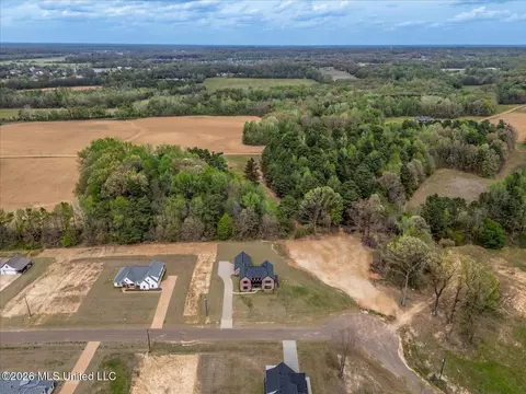 View/Area - 1474 Tributary Dr, Hernando, MS 38632 photo 9 of 14