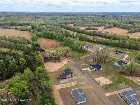 View/Area - 1474 Tributary Dr, Hernando, MS 38632 photo 7 of 14