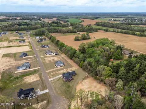 View/Area - 1474 Tributary Dr, Hernando, MS 38632 photo 11 of 14