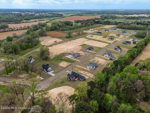 View/Area - 1474 Tributary Dr, Hernando, MS 38632 photo 5 of 14