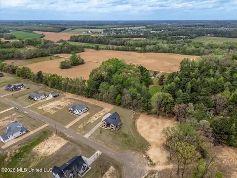 View/Area - 1474 Tributary Dr, Hernando, MS 38632 photo 10 of 14