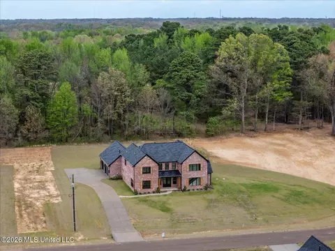 Other - 1474 Tributary Dr, Hernando, MS 38632 photo 3 of 15