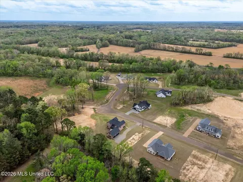 View/Area - 1474 Tributary Dr, Hernando, MS 38632 photo 6 of 14