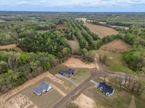 View/Area - 1474 Tributary Dr, Hernando, MS 38632 photo 8 of 14