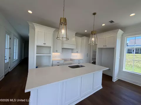 Kitchen - 910 Bald Eagle Dr, Brandon, MS 39047 photo 1 of 2