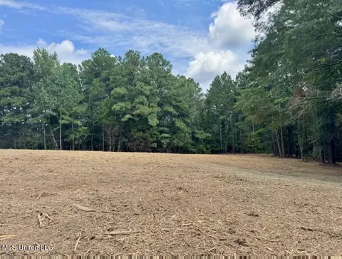 00002 Old Red Star Dr, Wesson, MS 39191