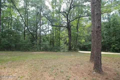98 Pumping Station Rd, Mclain, MS 39456 photo 24