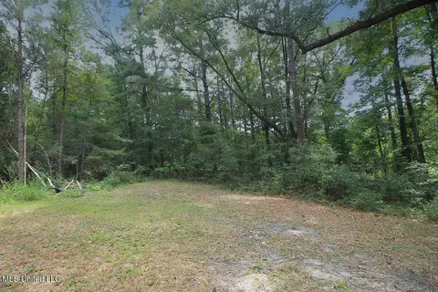 98 Pumping Station Rd, Mclain, MS 39456 photo 25