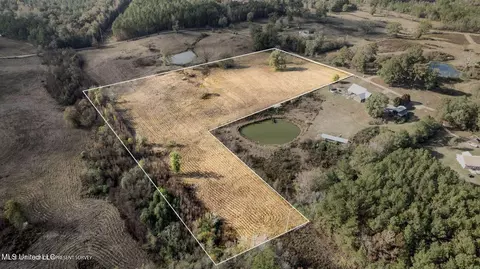 10 10 - Acres Jans Rd, Richton, MS 39476