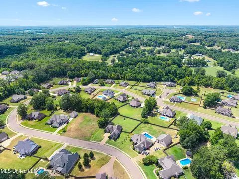 View/Area - 608 Shadow View Dr, Hernando, MS 38632 photo 4 of 5
