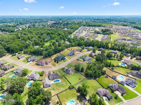 View/Area - 608 Shadow View Dr, Hernando, MS 38632 photo 5 of 5
