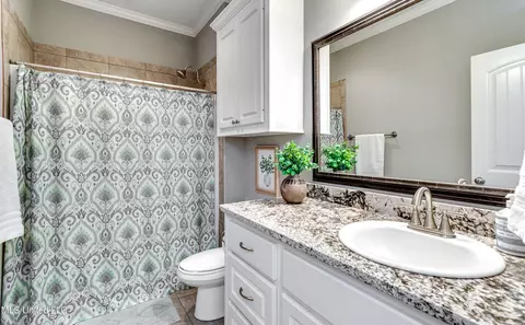 Bath - 237 Buckhead Dr, Madison, MS 39110 photo 4 of 4
