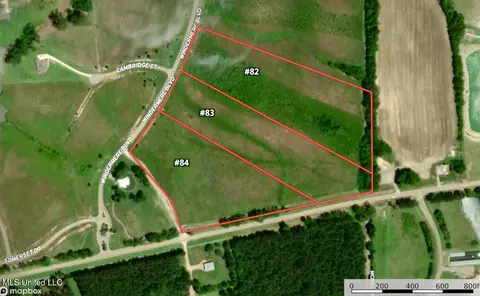 83 Windermere Blvd, Madison, MS 39110 photo 3