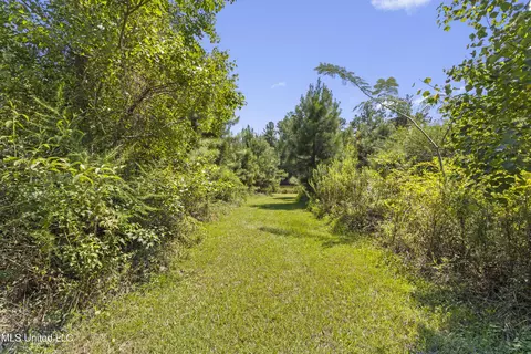 17249 Old Highway 49, Saucier, MS 39574 photo 36
