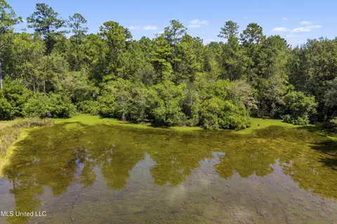 17249 Old Highway 49, Saucier, MS 39574 photo 45
