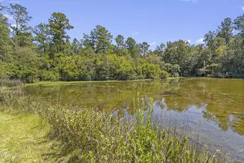 17249 Old Highway 49, Saucier, MS 39574 photo 41