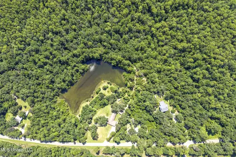 17249 Old Highway 49, Saucier, MS 39574 photo 47