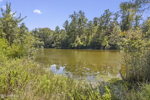 17249 Old Highway 49, Saucier, MS 39574 photo 34