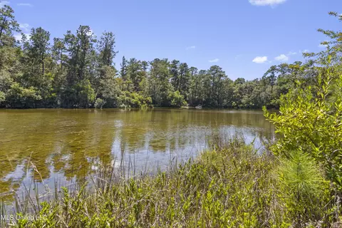 17249 Old Highway 49, Saucier, MS 39574 photo 40