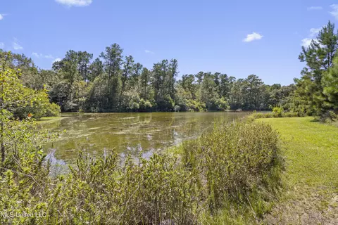 17249 Old Highway 49, Saucier, MS 39574 photo 39