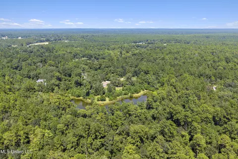 17249 Old Highway 49, Saucier, MS 39574 photo 48